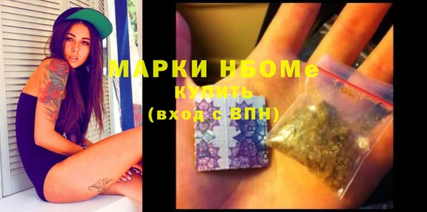 хмурый Няндома