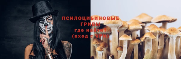 хмурый Няндома