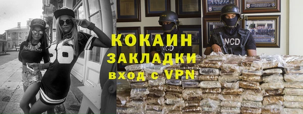 хмурый Няндома