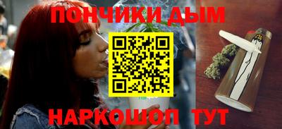 гидра Гатчина