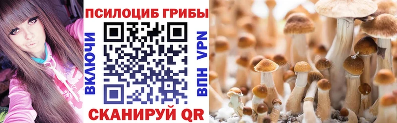 где найти Алексеевка Псилоцибиновые грибы мухоморы