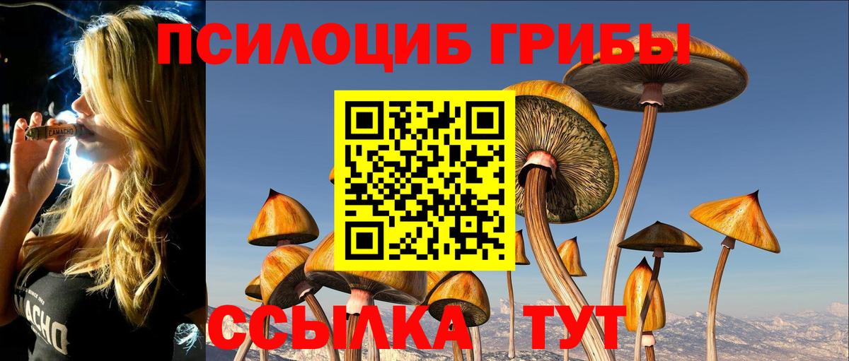 Псилоцибиновые грибы Magic Shrooms  Вход с VPN  Алексеевка  Псилоцибиновые грибы MAGIC MUSHROOMS 