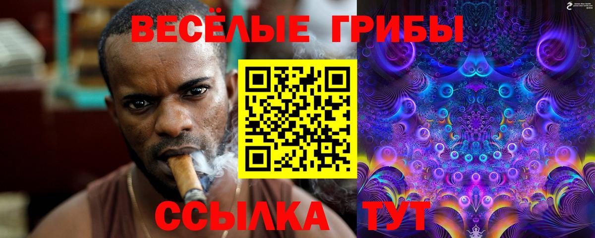 Галлюциногенные грибы прущие грибы Алексеевка