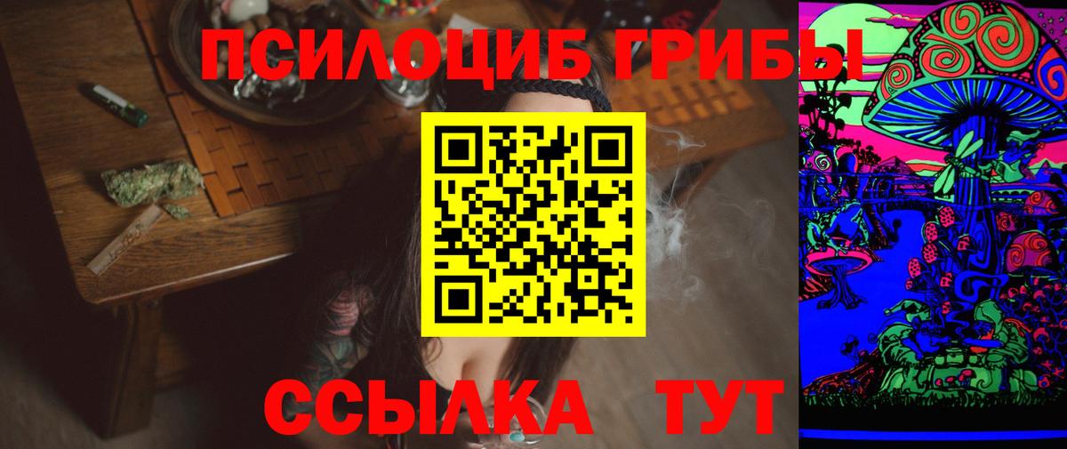 Галлюциногенные грибы Psilocybe  закладки  Псилоцибиновые грибы Cubensis  Алексеевка 