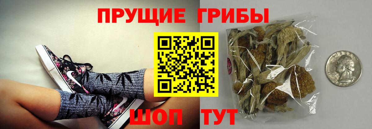 Галлюциногенные грибы мицелий Алексеевка